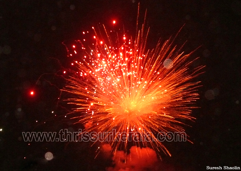 thrissur-pooram-2011- (107)